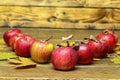 Closeup shot of a composition of ripe red apples on a blurred background