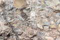 Closeup shot of conglomerate stone texture Royalty Free Stock Photo