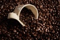 Every bean is packed with energy. Closeup shot of a cup on a pile of coffee beans. Royalty Free Stock Photo