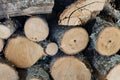 Closeup shot of cut trunks gathered together with tree branches. Tree part trunk to make wood