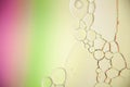 Closeup shot of cute bubble formations with rainbow-colored background Royalty Free Stock Photo