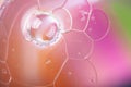 Closeup shot of cute bubble formations with rainbow-colored background Royalty Free Stock Photo