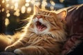 closeup shot of Cute cat lying on modern armchair and yawning