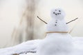 Closeup shot of a cute small snowman with rock eyes, buttons and twig arms