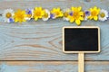 Closeup shot of daisy flowers and a chalkboard with space for text on a wooden surface Royalty Free Stock Photo