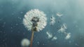 A closeup shot of a dandelion in the wind with the seeds floating away representing fleeting moments and memories on