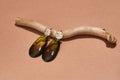 Closeup shot of dangle earrings made of golden metal and brown amber epoxy resin on wooden stick isolated over beige