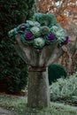 Closeup shot of decorative cabbage Royalty Free Stock Photo
