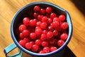 Closeup shot of delicious cherries in a steel blue cup