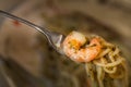 Closeup shot of delicious pasta with shrimp on the fork Royalty Free Stock Photo