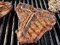 Closeup shot of delicious pork piece barbequing on a brazier Royalty Free Stock Photo