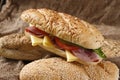 Closeup shot of a delicious sandwich with ham, cheese, tomatoes and lettuce Royalty Free Stock Photo