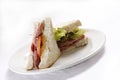 Closeup shot of a delicious sandwich with ham, tomatoes and lettuce on the plate Royalty Free Stock Photo