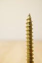 Closeup shot of a detailed screw thread