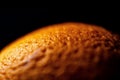 Closeup shot of details on a textured orange peel Royalty Free Stock Photo