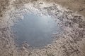 Closeup shot of a dirty puddle in the middle of a park during a sunny day