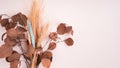 Closeup shot of dried leaves and wheat branches isolated on a white background Royalty Free Stock Photo