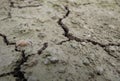 Closeup shot of dry eroded soil texture