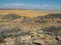 Closeup shot of dry grass and sand during a daytime Royalty Free Stock Photo