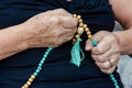 Closeup shot of an elder male's hands holding a brown green rosemary