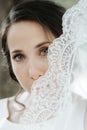 Closeup shot of elegant, brunette bride posing under veil closeup Royalty Free Stock Photo