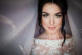 Closeup shot of an elegant, brunette bride in vintage white dress posing under veil closeup Royalty Free Stock Photo