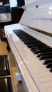 Closeup shot of an elegant white grand piano keyboard. Royalty Free Stock Photo