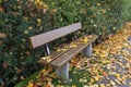 Closeup shot of an empty bench surrounded by maple leaves on a park on an autumn day Royalty Free Stock Photo