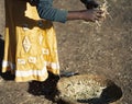 Closeup shot of a Ethiopian woman sorting tef