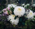 Closeup shot of exotic white and purple flowers and small daisy flowers in a basket Royalty Free Stock Photo