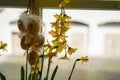 Closeup shot of fake eggs and Forsythia suspensa flowers as Easter decorations in front of a window