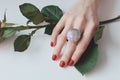 Closeup shot of a female hand with a beautiful silver ring on a rose with green leaves Royalty Free Stock Photo