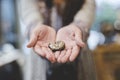 Closeup shot of a female holding a snail with a blurred background Royalty Free Stock Photo