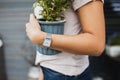Closeup shot of a female with a watch holding green plant in a pot with blurred background Royalty Free Stock Photo