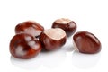 Closeup shot few chestnuts isolated on white background Royalty Free Stock Photo
