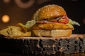 Closeup shot of a fish burger with chips Royalty Free Stock Photo