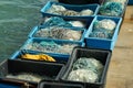 Closeup shot of fishing nets in the harbor near the sea Royalty Free Stock Photo