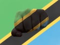 Closeup shot of a flag of Tanzania painted on male fist