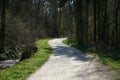 Closeup shot of a flat road path through forests - perfect for background Royalty Free Stock Photo