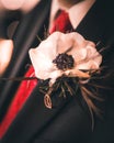 Closeup shot of a flower in the breast pocket of a groom Royalty Free Stock Photo