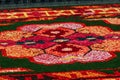 Closeup shot of a flower carpet Brussels Royalty Free Stock Photo