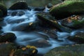 Closeup shot of the foamy water of the river covering the mossy stones with fallen autumn leaves Royalty Free Stock Photo