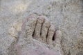 Closeup shot of the foot fingers of a person covered by the sand in the beach