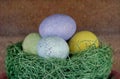 Closeup shot four pastel colored eggs in a green nest