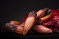 Closeup shot of the French red shallot onions isolated on the black background