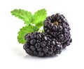 Closeup shot of fresh blackberries. Isolated on white Royalty Free Stock Photo