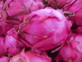 Closeup shot of a fresh bright pink dragon fruit Royalty Free Stock Photo