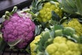 Closeup shot of fresh and colorful broccoli Royalty Free Stock Photo