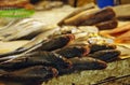 Closeup shot of fresh fish at a market booth in a bazaar in Beirut, Lebanon Royalty Free Stock Photo