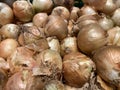 Closeup shot of fresh raw onion bulbs Royalty Free Stock Photo